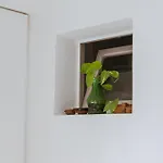 Bed and Breakfast A Due Passi Dal Centro Αλμπερομπέλο