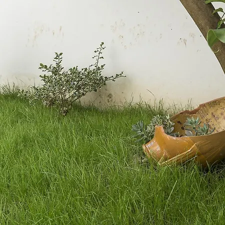 Panzió A Due Passi Dal Centro